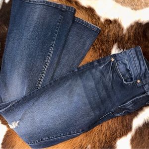 YMI Blue Jean Bell Bottoms - 3/26w